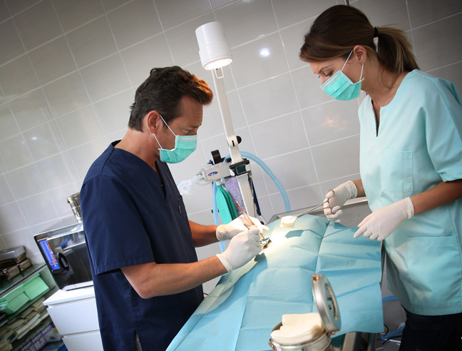 Surgery/Recovery Surgery/Recovery
