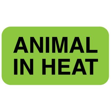 ANIMAL IN HEAT, 1-5/8" x 7/8"