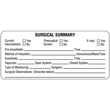 Examination Record Label, 3-3/8" x 1-1/2"