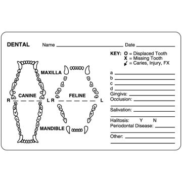 Examination Record Label, 4" x 2-5/8"