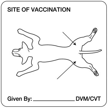 Canine Examination Record Label, 2-1/4" x 2-1/4"