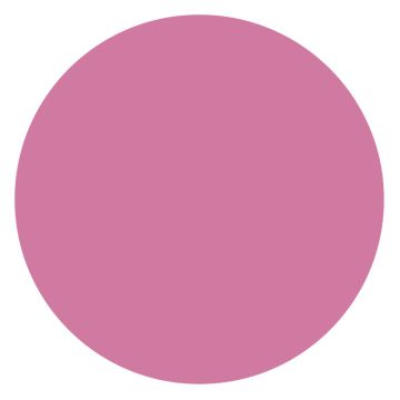 Vinyl Circle, 1/2" x 1/2"