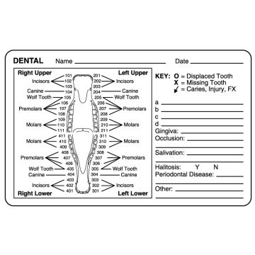 Equine Dental Exam Label