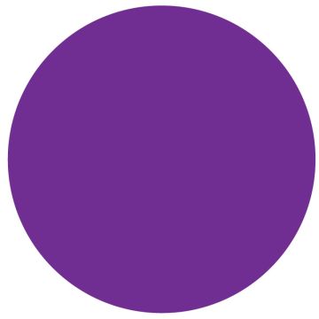 Purple Paper Circle 3" Dia