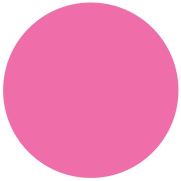 Fluorescent Pink Paper Circle 3" Dia