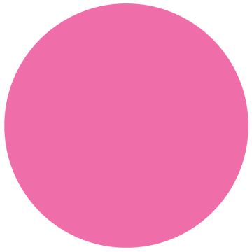 Fluorescent Pink Paper Circle 3" Dia