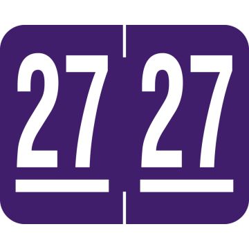 Tab Compatible 2027 Year Label, 1-1/4" x 1"