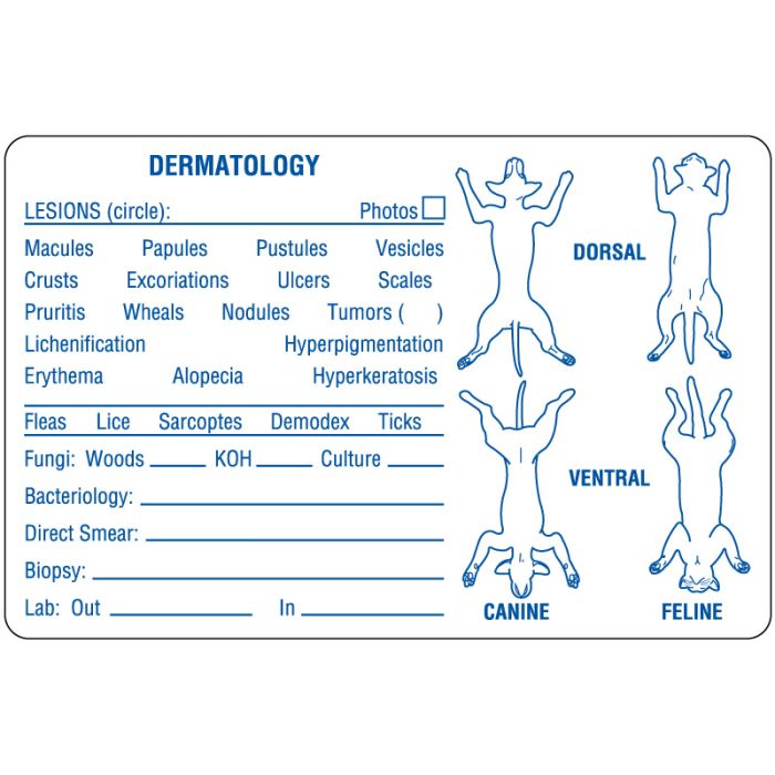 Dermatology, Examination Record Label, 4" x 2-5/8" main product photo
