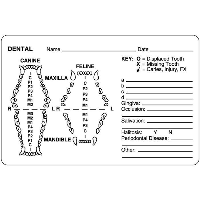 Dental Exam, Examination Record Label, 4" x 2-5/8" main product photo