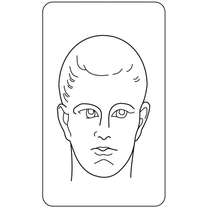 Anatomical Label, 1-1/2" x 2-1/2" main product photo