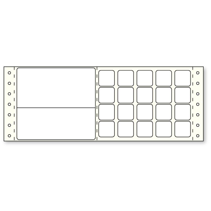 Sunquest Microbiology Work Card, 3-7/16" x 8" main product photo