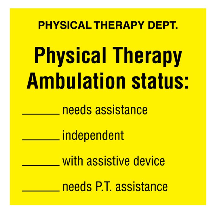 Physical Therapy Ambulation, 2-1/2" x 2-1/2" main product photo