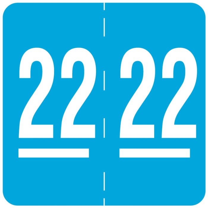 Ames Compatible 2022 Year Label, 1-7/8" x 1-7/8" main product photo