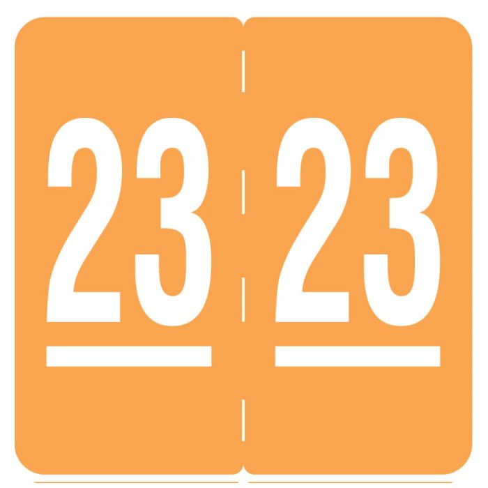 Ames Compatible 2023 Year Label, 1-7/8" x 1-7/8" main product photo