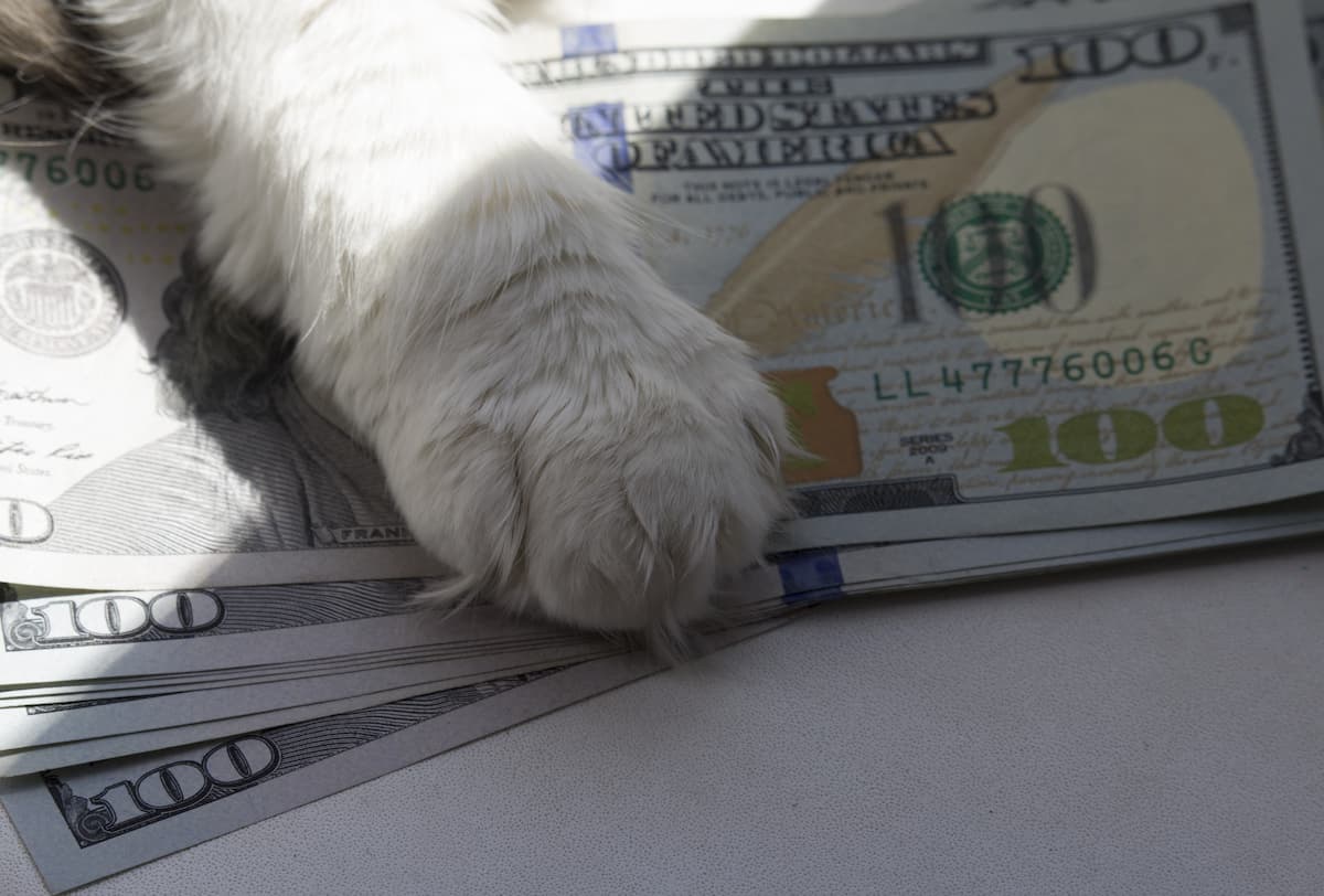 How Veterinary Practices Can Increase Profitability And Drive Growth