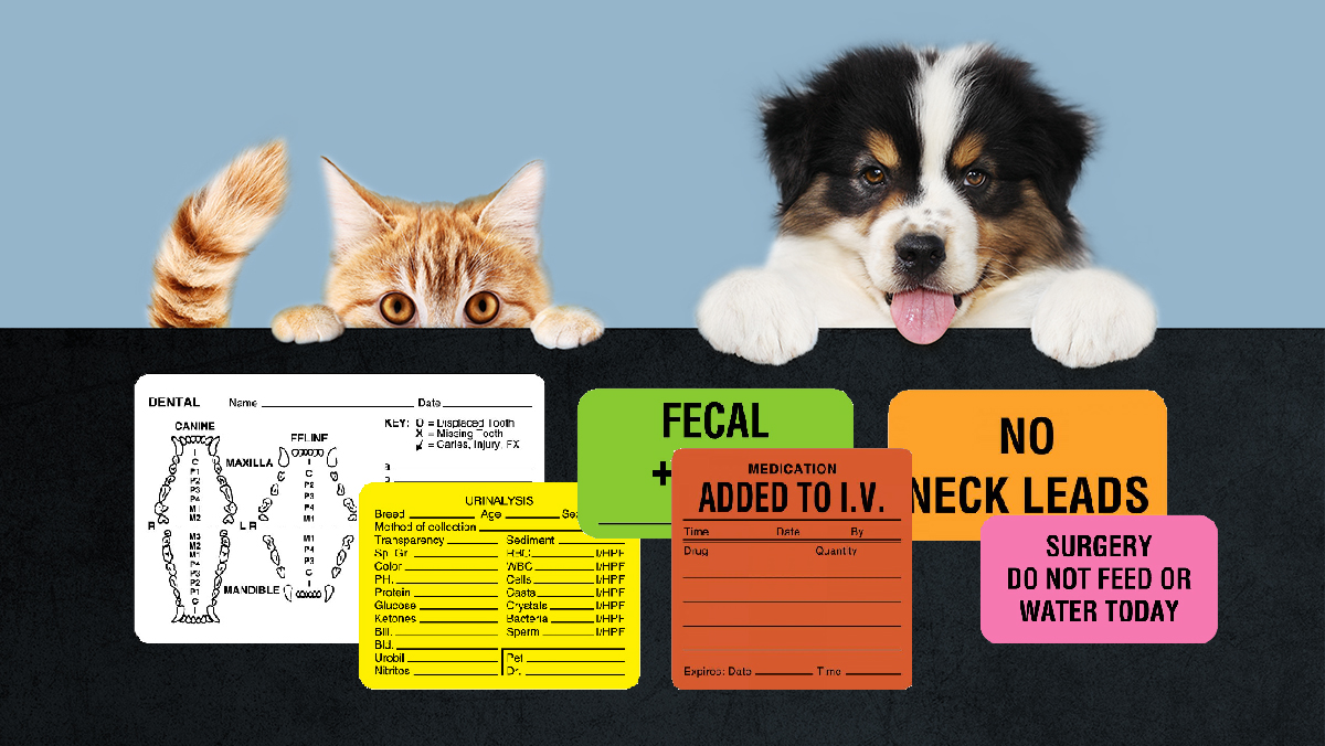 5 Labels Every Veterinary Practice Needs