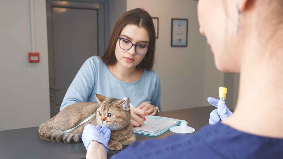 The Critical Role of Medication and Pharmacy Labels in Veterinary Practices The Critical Role of Medication and Pharmacy Labels in Veterinary Practices