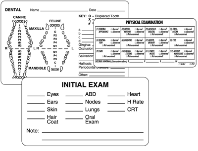 Veterinary Examination Room Labels