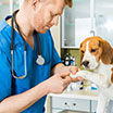 Veterinary Labels Icon