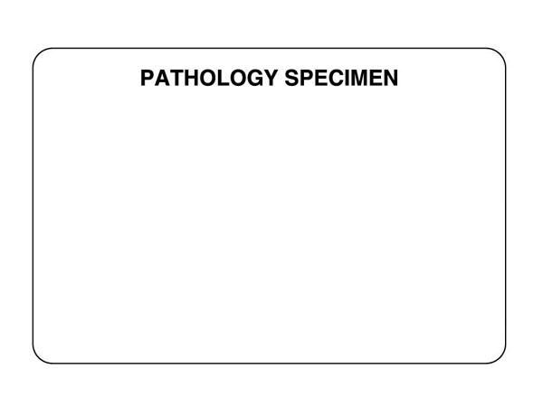 Specimen Labels