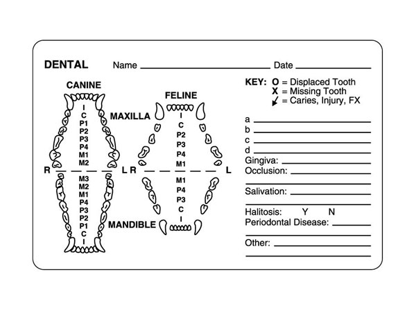 Dental Labels