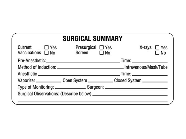 Surgical Summary