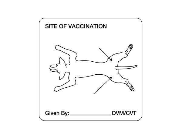 Vaccination Records