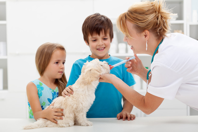 Medication Dispensing Labels Medication Dispensing Labels