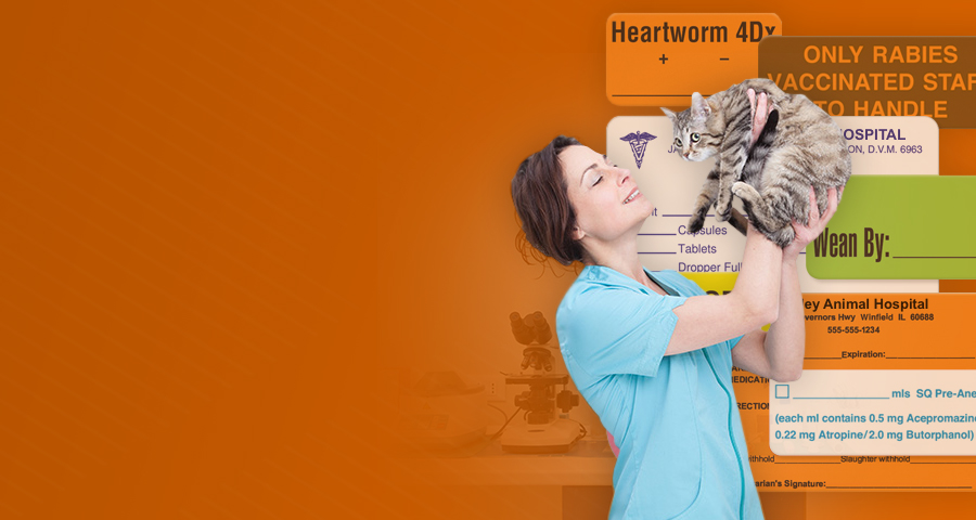Create your own custom labels for veterinary